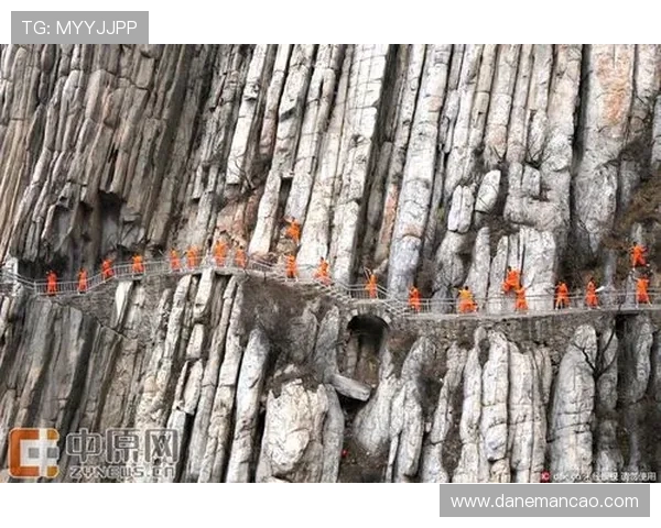 ag8亚游试玩热门游戏推荐适合不同玩家的多样化试玩内容介绍